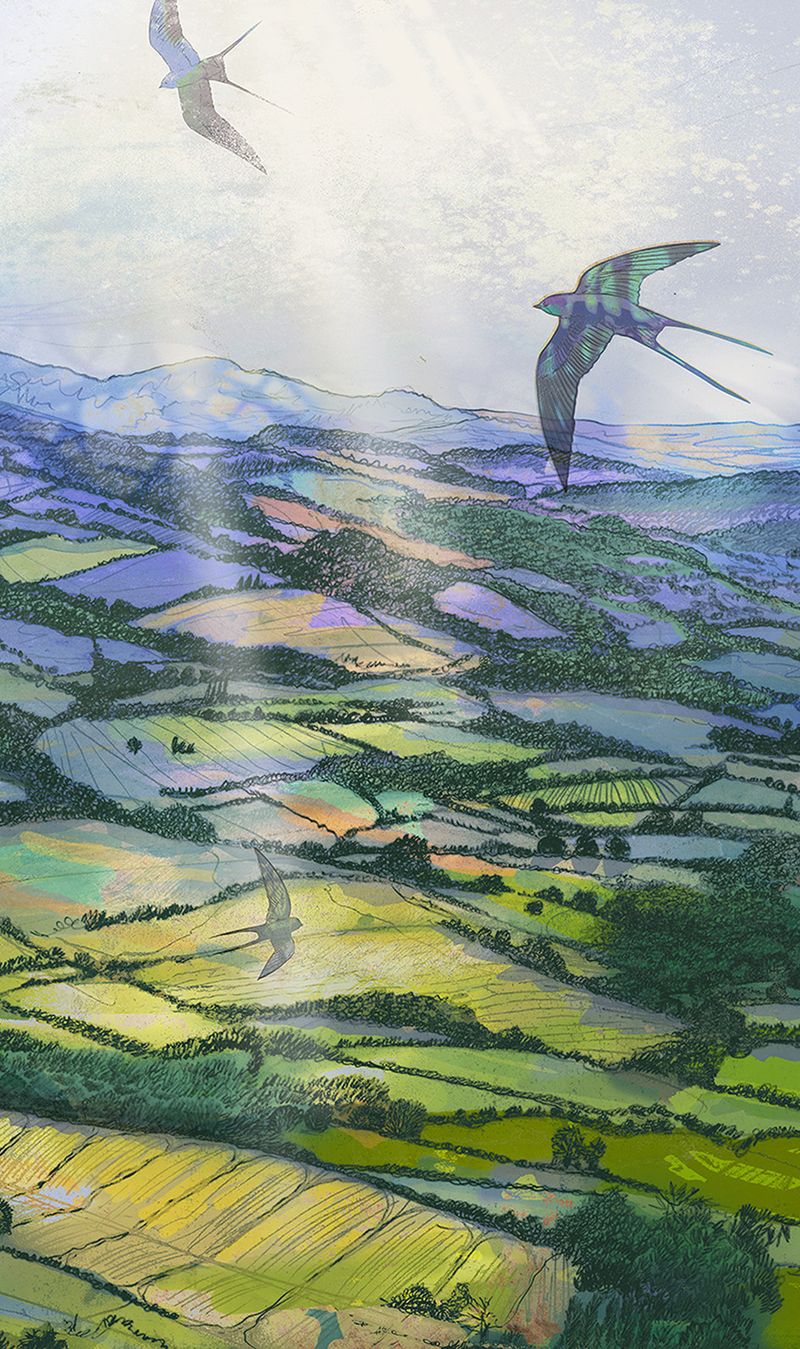 Return to the valley