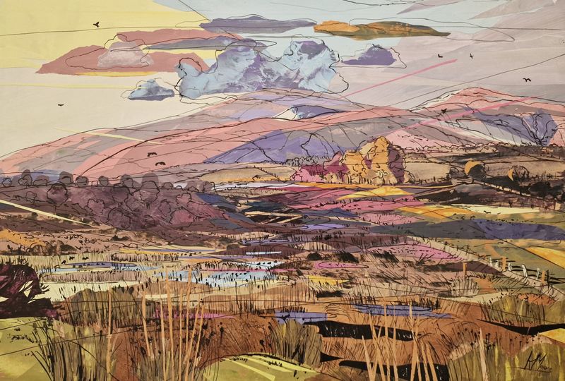 Moorland, Brecon Beacons