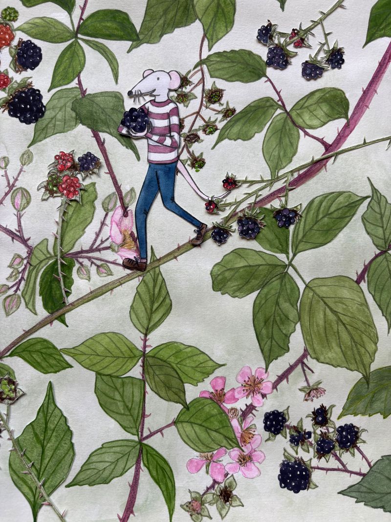 August Mouse