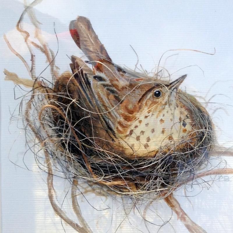 Nesting Thrush