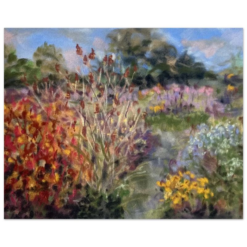 Red Dogwood & Wild Teazels, Picton Garden, Colwall