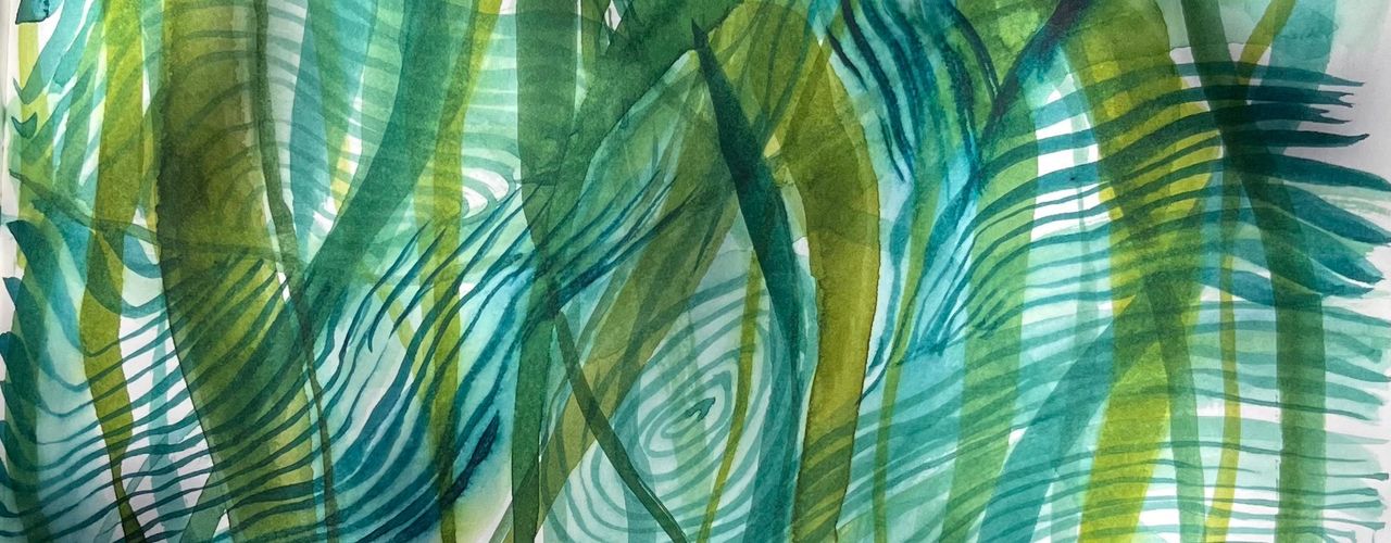 Natures Carbon capture