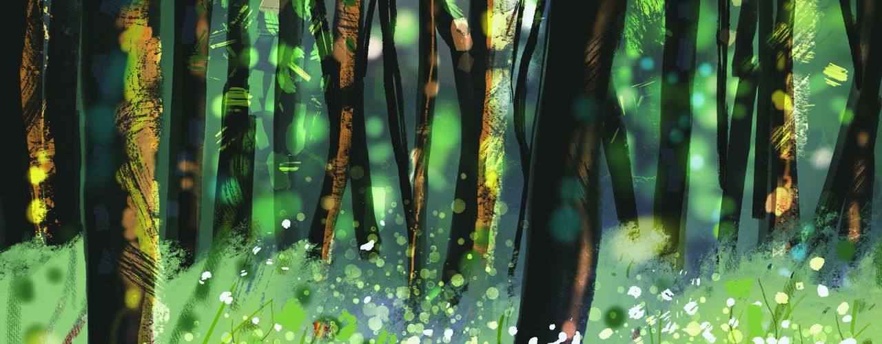 Light Through the Trees