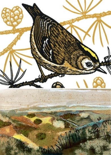 Sarah Delahoy, Ruth Credland