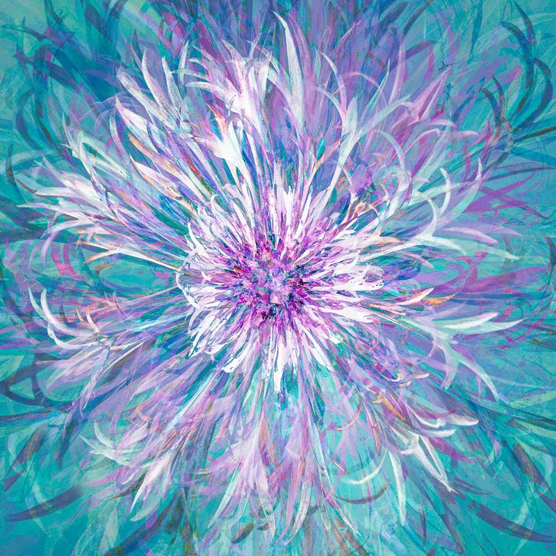 Cornflower Carnival by Jane Simmonds