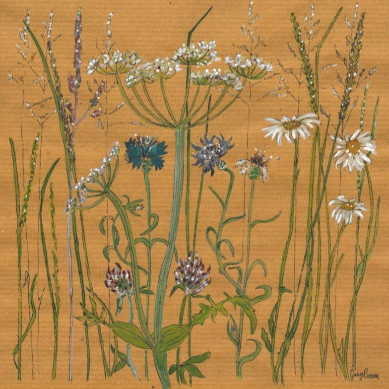 Wild flowers from the hedgerows painted onto brown paper.