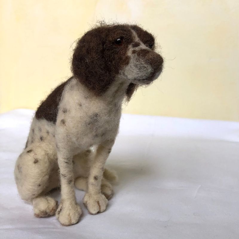 Springer Spaniel 'waiting'