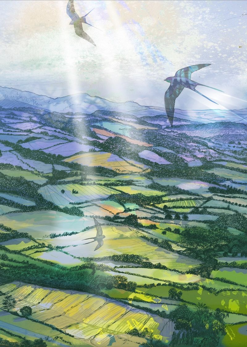 Return To The Valley