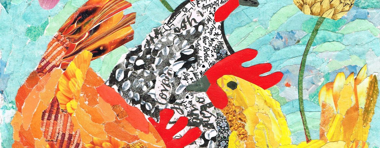 Chickens in my Garden