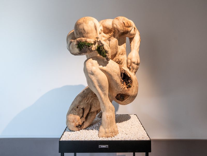 Transience by Ed Elliott