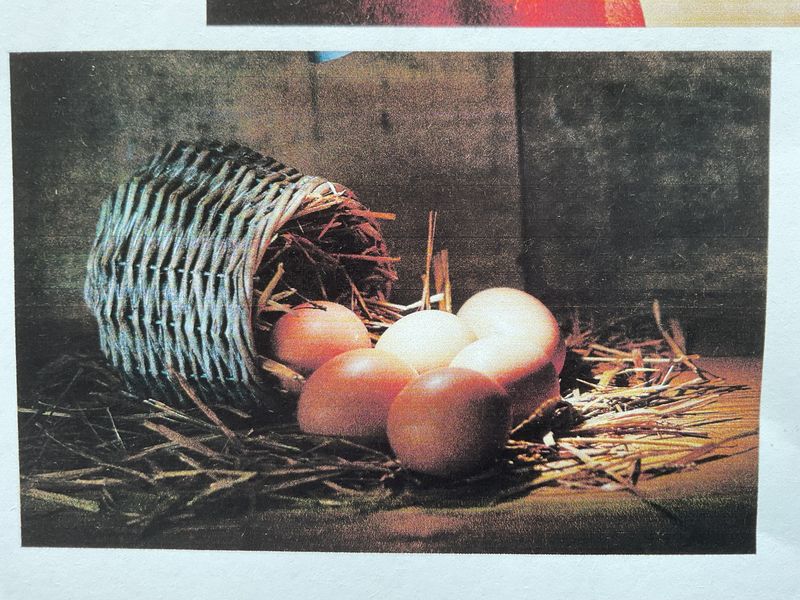 Basket of eggs