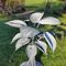 Hosta Sculpture, "Pearl"
