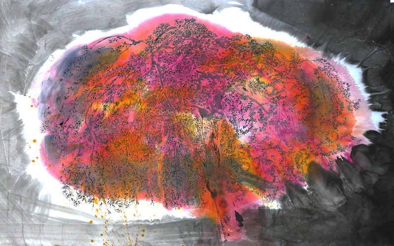 Blossom III