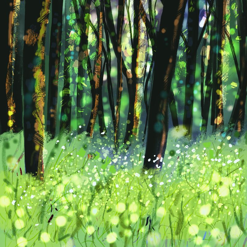 Light Through the Trees 81/2025