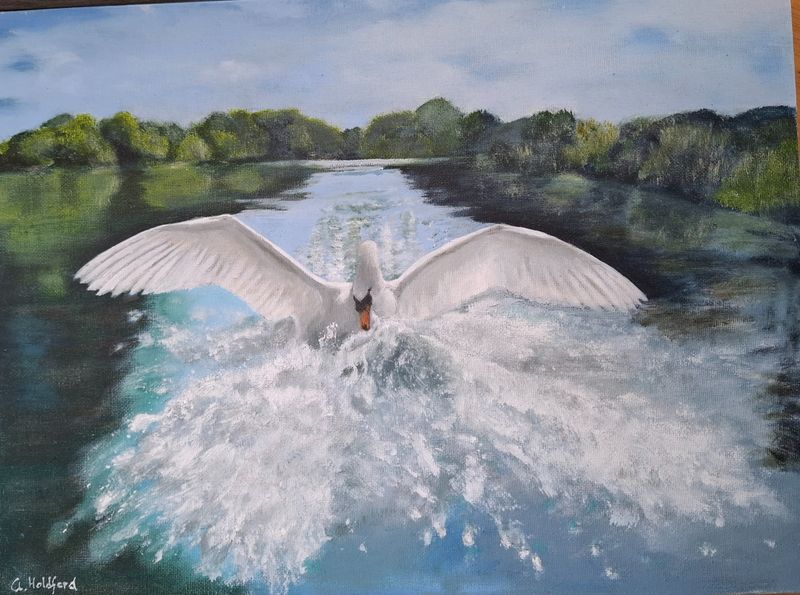 Swan landing