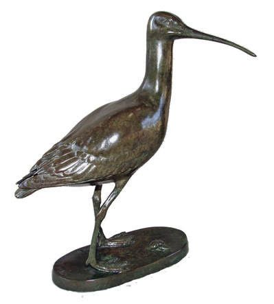 Curlew by Patricia Northcroft