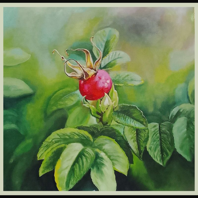 ' Rosehip ' oil on board