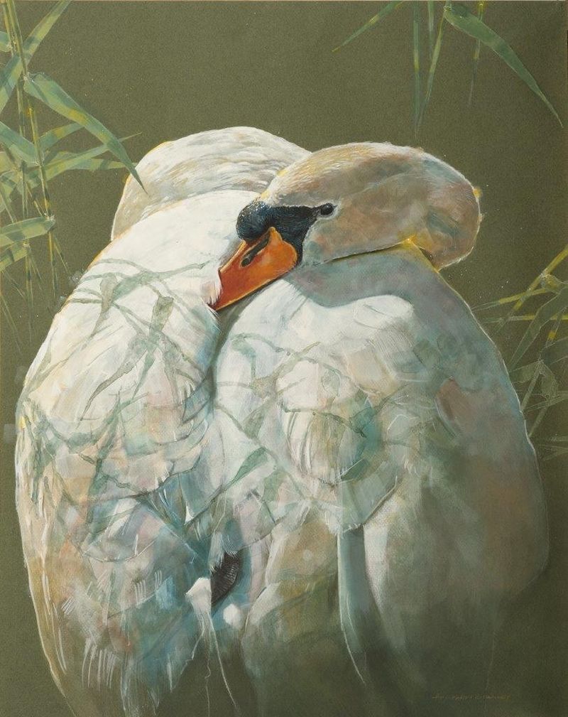 Resting but Alert by Humphrey Stanley