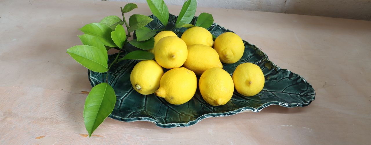 Rhubarb leaf serving dish/fruit bowl