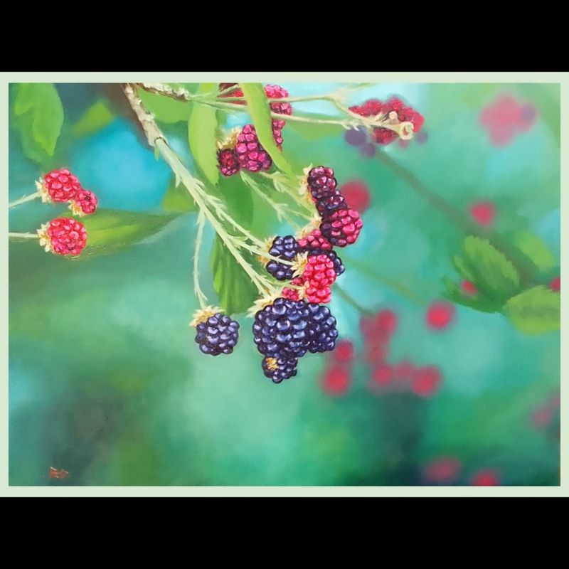 ' Blackberries ' oil on board