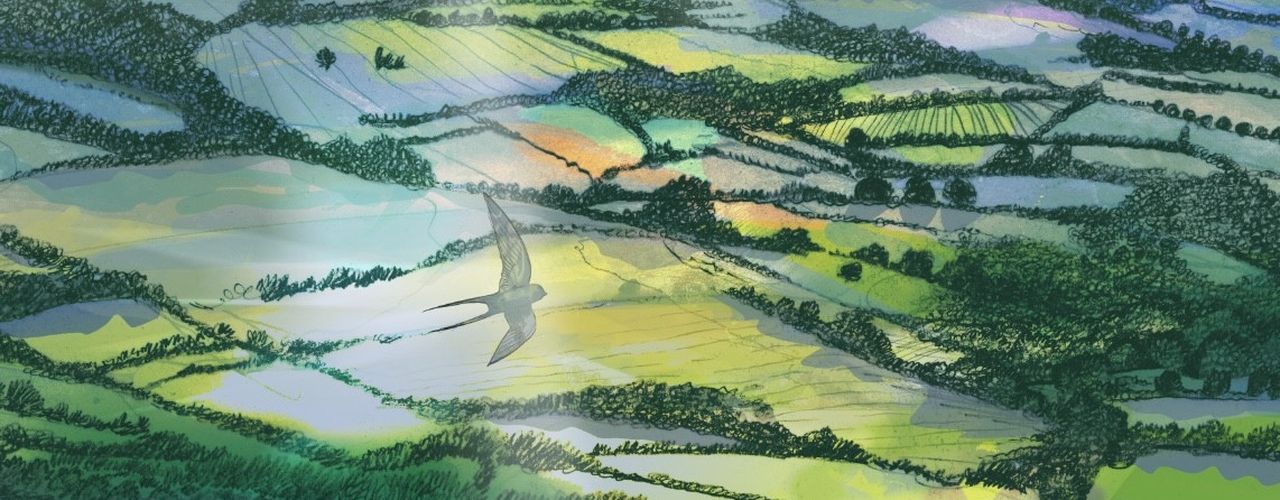 Return to the Valley