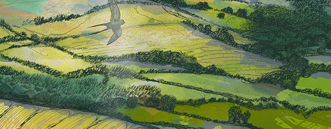 Return to the valley