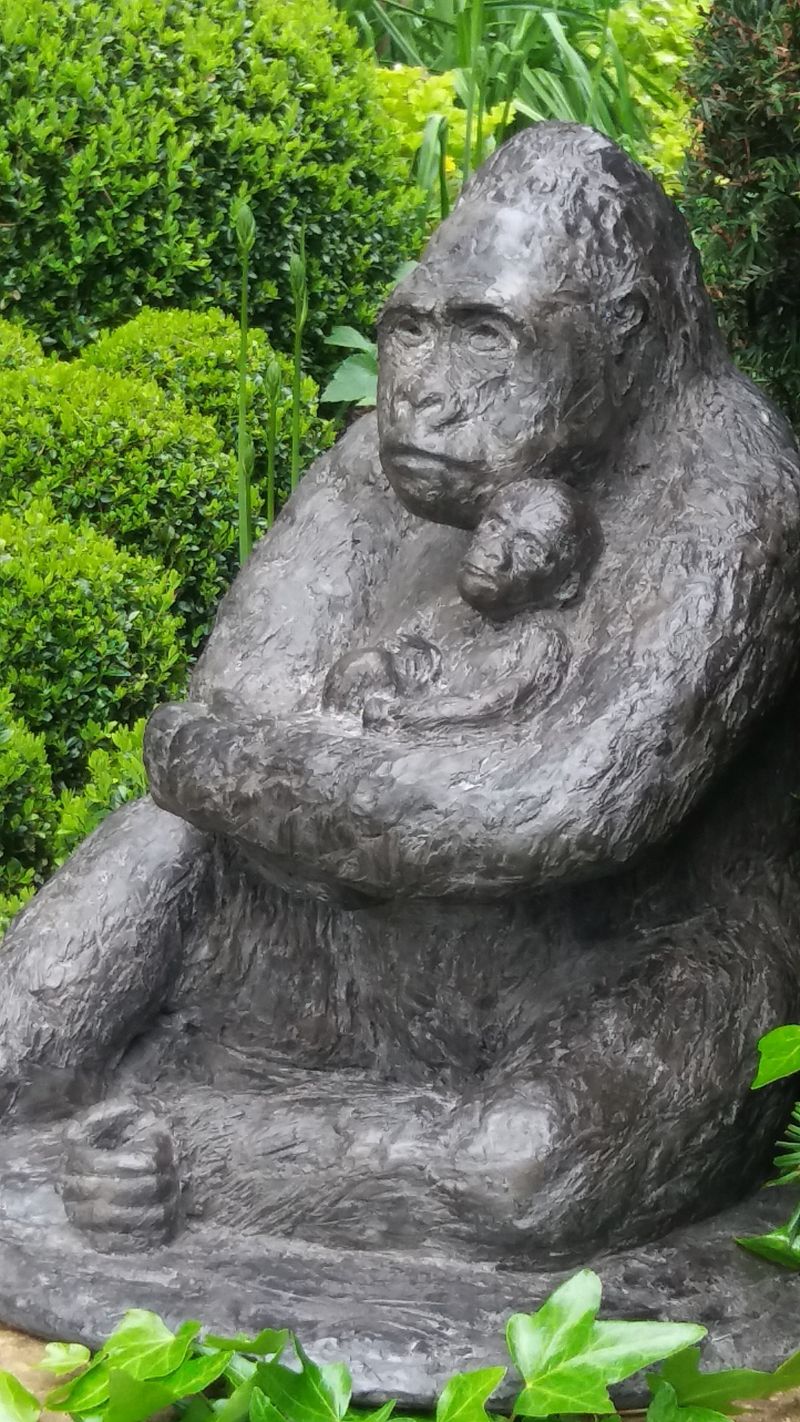 Secrets of the Mountain