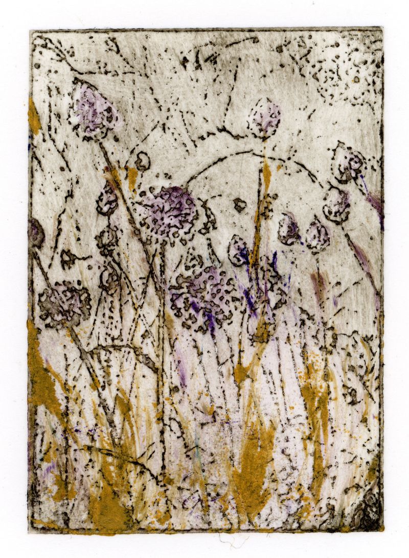 'Meadow x aeris effigies' -  Brass plate etching à la poupée