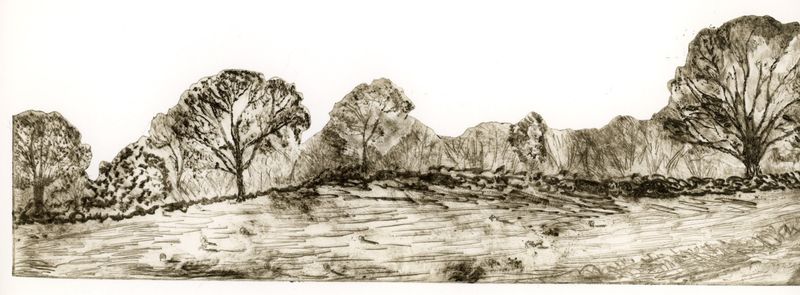 'Boundries' drypoint etching on paper