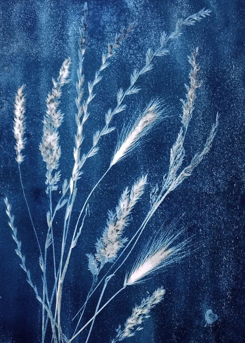 Grasses
