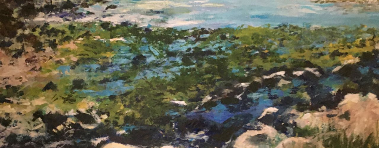 A Pembrokeshire Coastal view