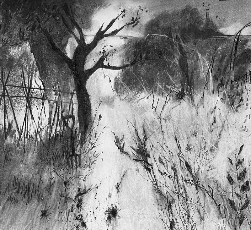 In Anticipation of Runner  Beans