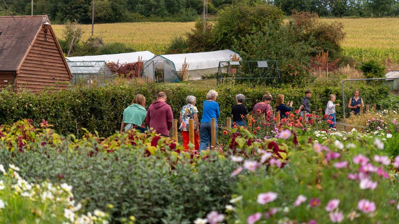 Pick your own flowers