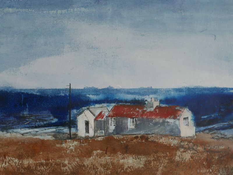 Cabin in the far north