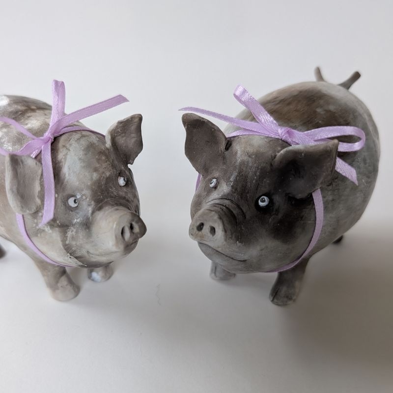 Show Pigs
