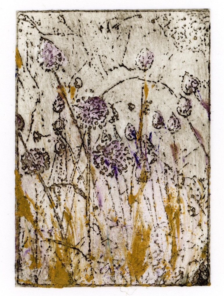 Meadow x aeris effigies