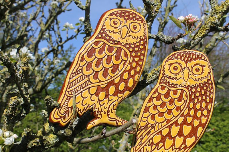 Sgraffito Owls by Ellie Tarratt