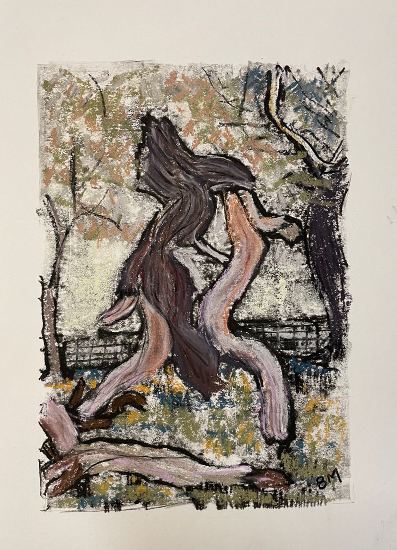 Croft Castle - The Chestnut Avenue, Storm Damage