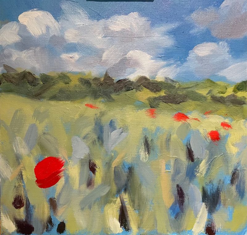 Poppy Field, Herefordshire