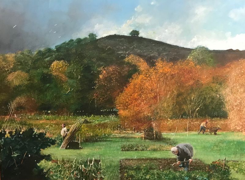 Allotments under Hatterall Hill