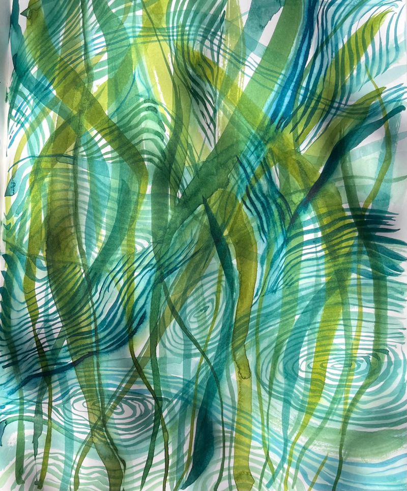 Natures Carbon capture