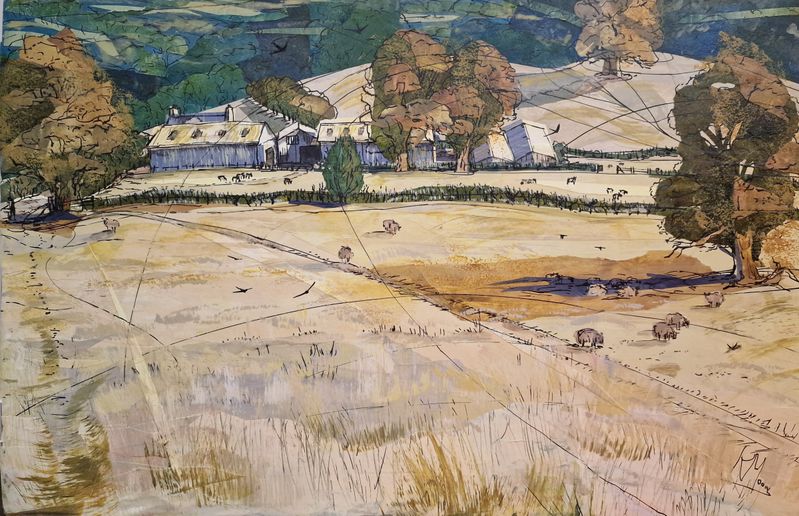 Dry grassland, Bradnor hill