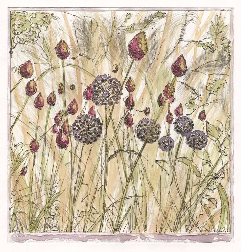 'Summer Meadow'  Intaglio: Drypoint Etching, À la poupée