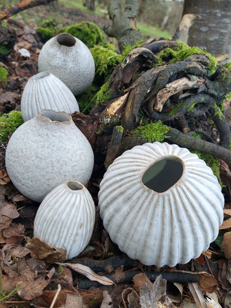 Seed pod pots