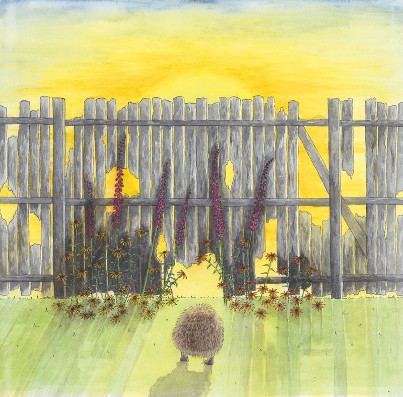 When the sun came up... from the children's book 'Hedgehog and the Fence'