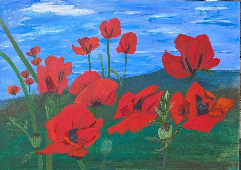 Giant Poppies