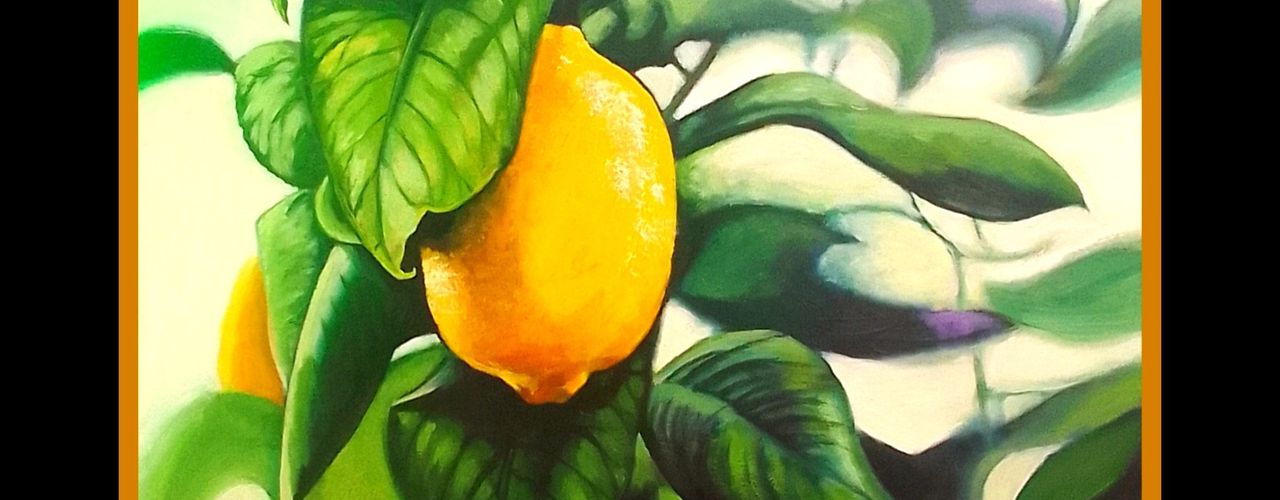 'Shy lemon ' . Oil on board