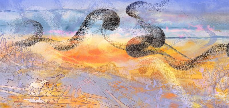 Earth, Air, Fire, Water