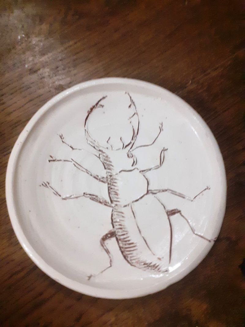 Endangered Series Small Plate