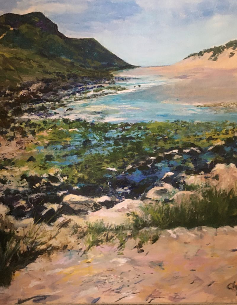 A Pembrokeshire Coastal view